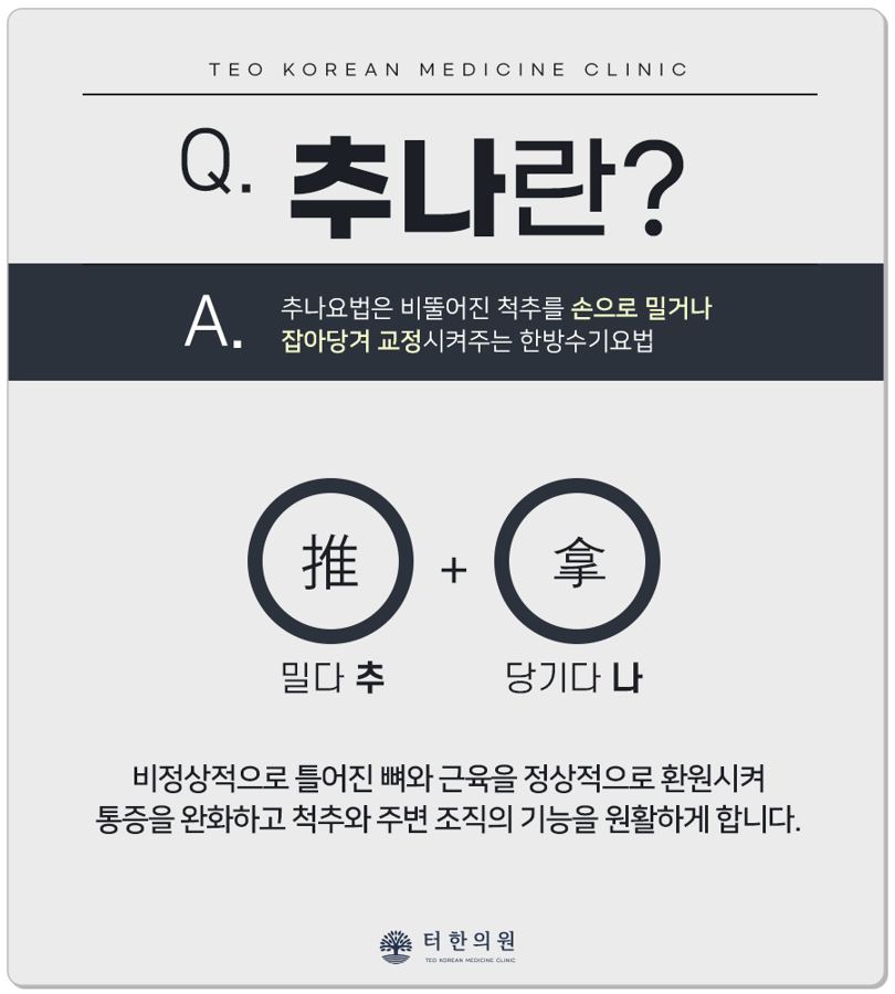 추나요법의 뜻을 설명한 안내문