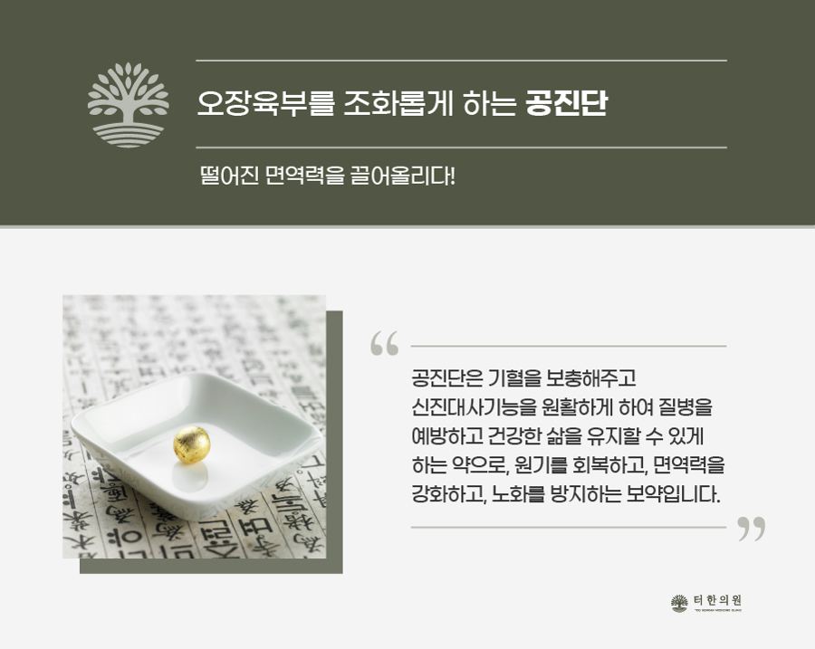 한약 환 한 알과 공진단의 면역력 및 원기 회복 효능을 설명한 이미지